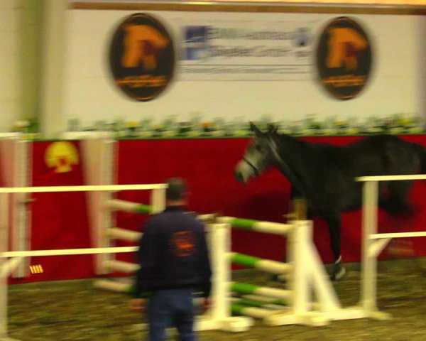 Freispringwettbewerb Münchehofe 2018