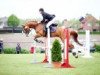 jumper Bijou de Grand Coeur (Oldenburg, 2006, from Balou du Rouet)