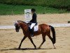 broodmare Fair Lady 354 (German Riding Pony, 1999, from Were Di's Aron)
