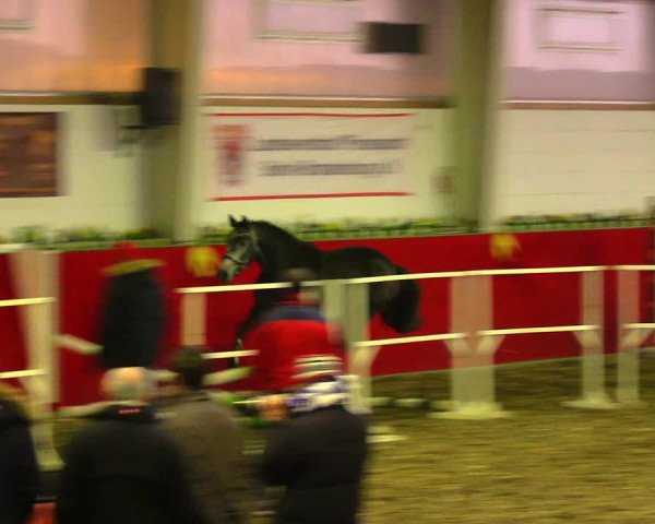 Freispringwettbewerb Münchehofe 2018