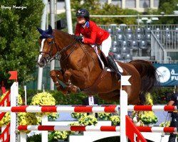 Springpferd Barron (Belgium Sporthorse, 2004, von For Pleasure)