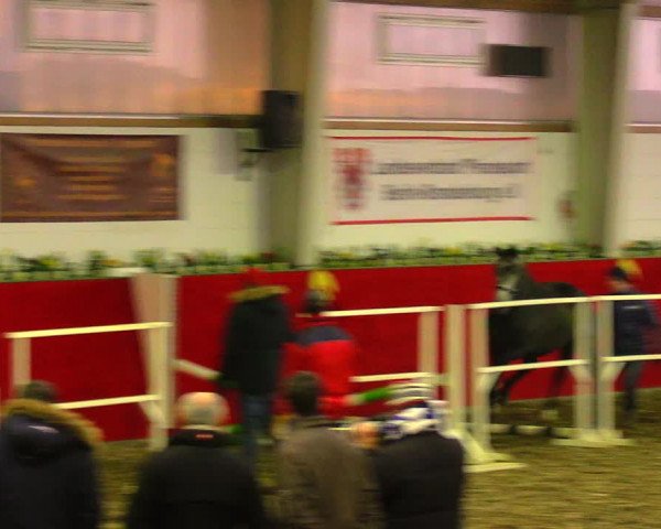 Freispringwettbewerb Münchehofe 2018
