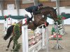 jumper Cantou (Oldenburg show jumper, 2009, from Canterbury)