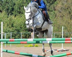 broodmare Mary Ane (Czech Warmblood, 2005, from Calato)