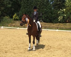 dressage horse Rich Boy H (Westphalian, 2005, from Rüter)