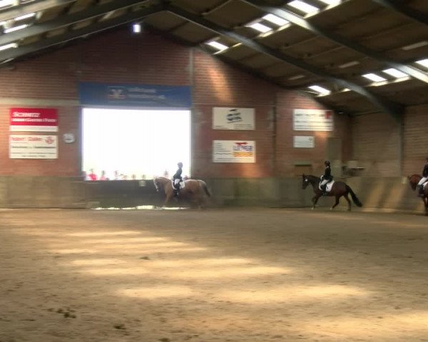 Reitturnier Kirchhoven-Vinn 2021