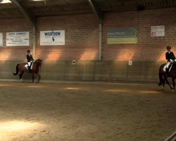 Reitturnier Kirchhoven-Vinn 2021