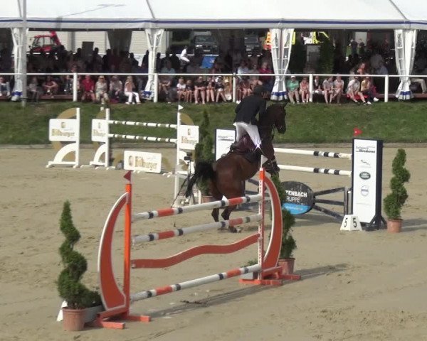 Bergisch Classics - Bergisch Gladbach - Springen 2021