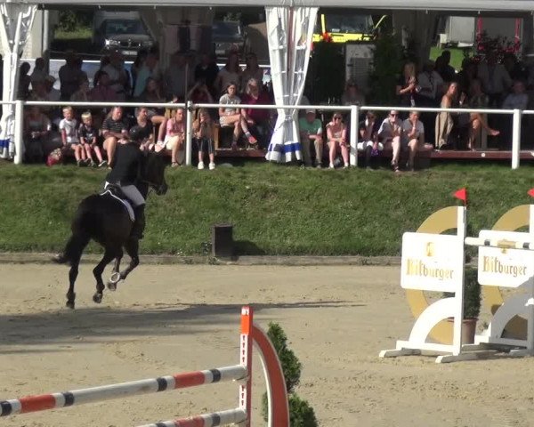 Bergisch Classics - Bergisch Gladbach - Springen 2021