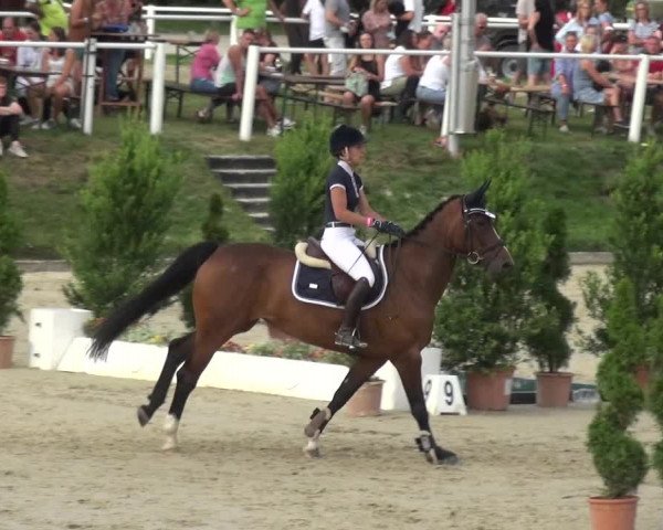Bergisch Classics - Bergisch Gladbach - Springen 2021