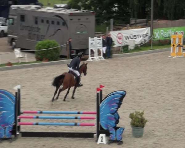 Reitturnier Monheim - Gut Blee 2021