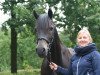 Pferd Coed Newydd Flying Jet (Welsh-Cob (Sek. D), 2000, von Coednewydd Black Jack)