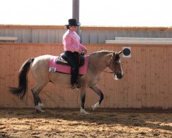 broodmare Berkatal Flo-Joey (German Riding Pony, 2001, from Royal Blueberry)