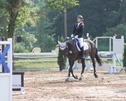 dressage horse Soleil Noire (German Sport Horse, 2001)