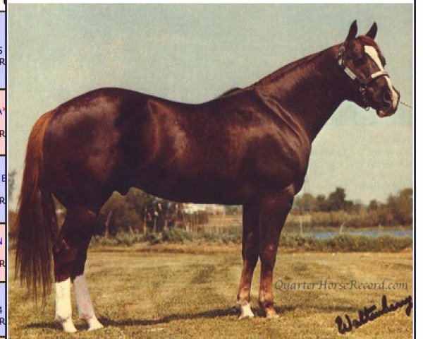 Deckhengst Skip's Brick (Quarter Horse, 1968, von Skip Beware)