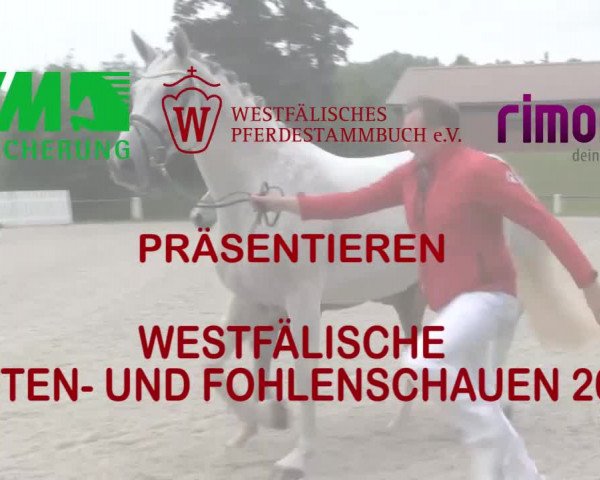 Stuten- und Fohlenschau in Unna 2018