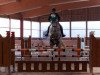 jumper Alberto Tomba 3 (Oldenburg show jumper, 2003, from Acadius)