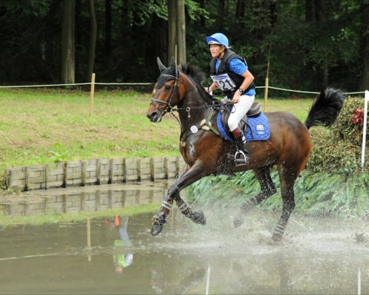 jumper Fletcha van't Verahof (Belgian Warmblood, 2005, from Vigo d'Arsouilles)