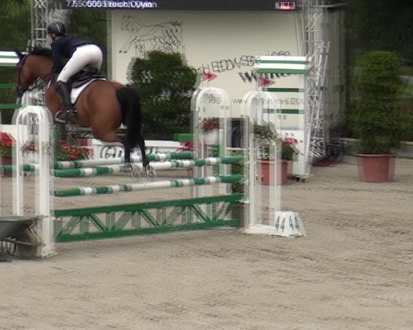 Reitturnier Monheim - Gut Blee 2021