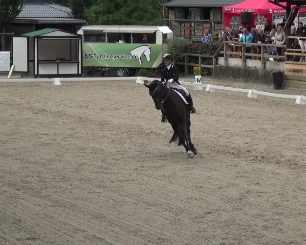 Reitsport Festival am Gut Jagenberg - Solingen 2021