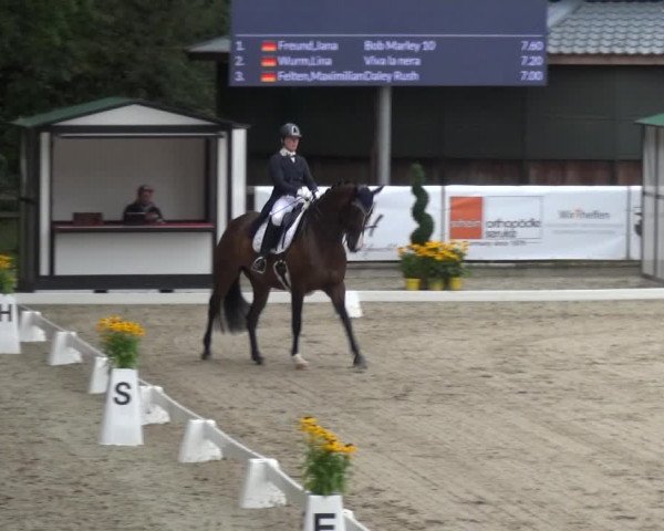 Reitsport Festival am Gut Jagenberg - Solingen 2021