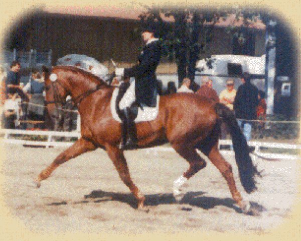 horse Fabbiano (Westphalian, 1985, from Frühlingsball)