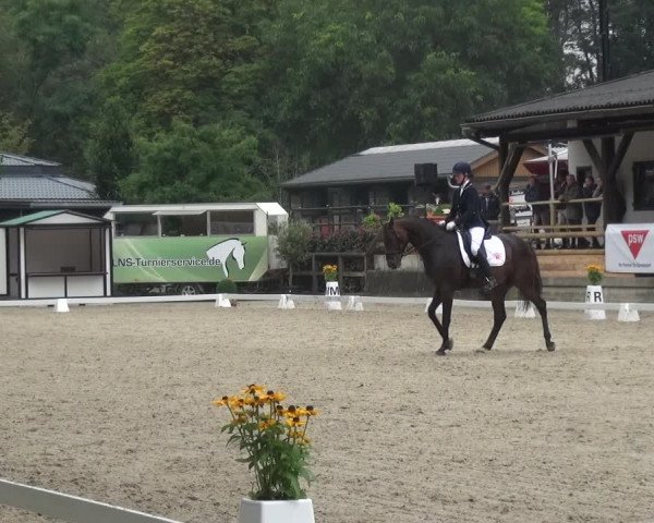 Reitsport Festival am Gut Jagenberg - Solingen 2021