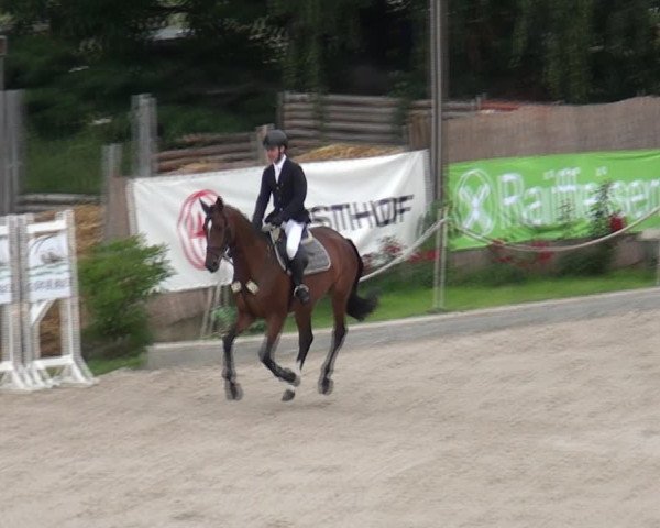 Reitturnier Monheim - Gut Blee 2021