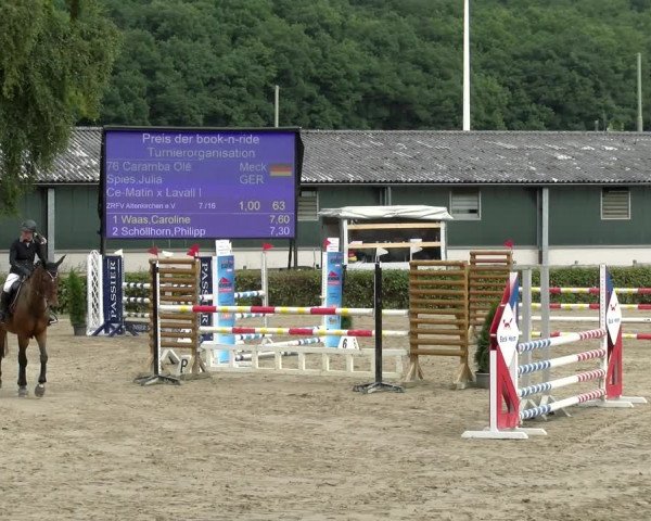 Reitturnier Siegen 2021