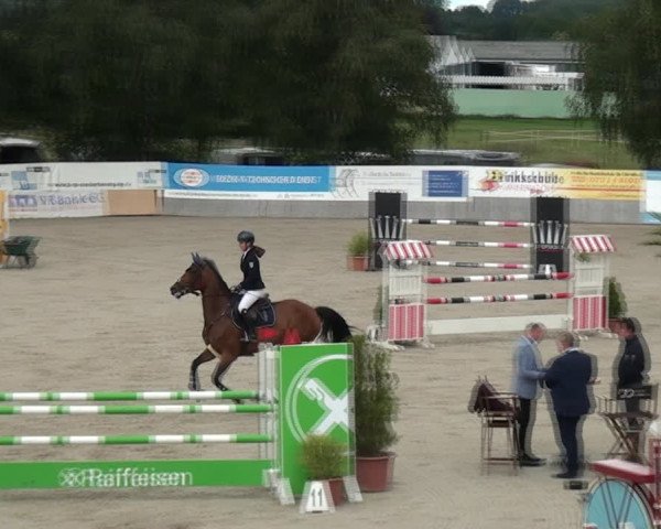 Reitturnier Monheim - Gut Blee 2021