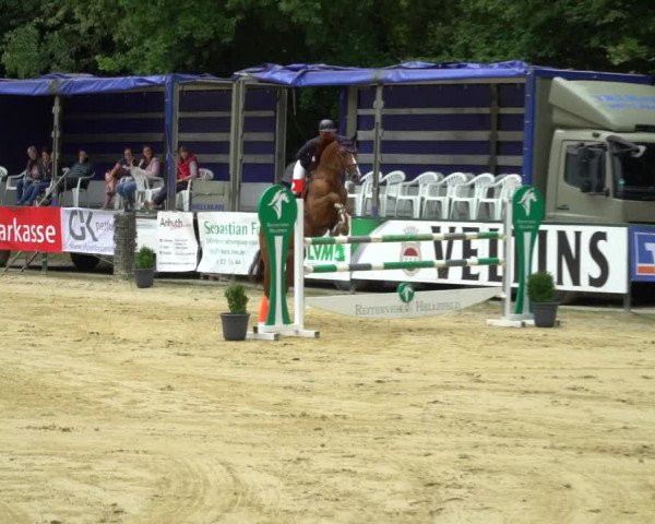Reitturnier Hellefeld 2021