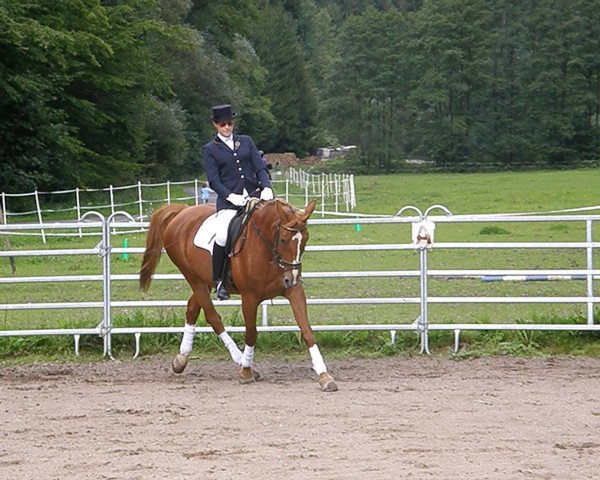 horse Rana (Bavarian, 1994, from Lasandro)