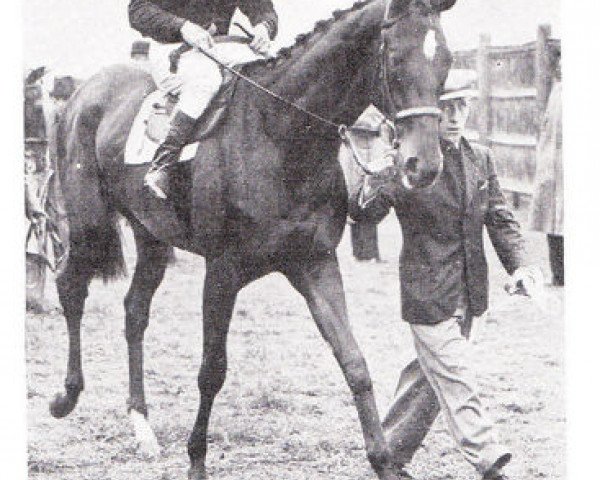 broodmare Picture Play xx (Thoroughbred, 1941, from Donatello II xx)
