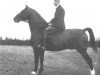 stallion Ot van Wittenstein (Gelderland, 1932, from Reveil AN)