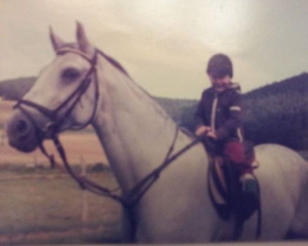 broodmare Soraja (Hessian Warmblood, 1973, from Luederitz)