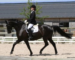 dressage horse Fleur 335 (Rhinelander, 2004, from Feiner Ludwig)