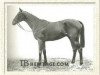stallion Heliopolis xx (Thoroughbred, 1936, from Hyperion xx)