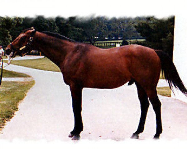 stallion Riva Ridge xx (Thoroughbred, 1969, from First Landing xx)