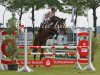 broodmare Cheyenne Ashley (Belgian Warmblood, 2006, from Cartier 187 FIN)