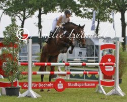 broodmare Cheyenne Ashley (Belgian Warmblood, 2006, from Cartier 187 FIN)