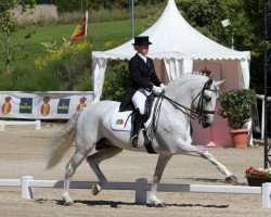 dressage horse Xiripiti (Lusitano, 2003, from Qualificado)