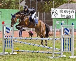 horse Laegomio (Trakehner, 2000, from Chemborg)