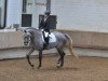 dressage horse Grey 23 (Trakehner, 2006, from Buddenbrock)