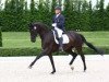 dressage horse Schneekoppe Feel Good (Hanoverian, 2004, from Fürst Heinrich)