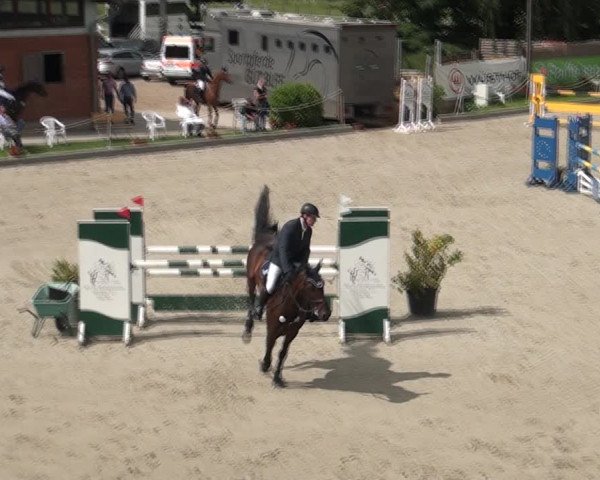 Reitturnier Monheim - Gut Blee 2021