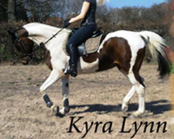 broodmare Kyra Lynn (German Warmblood, 2002, from Kaschmir)