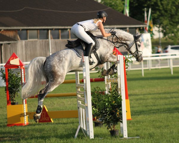 Zuchtstute Alida V. (KWPN (Niederländisches Warmblut), 2005, von Casco 4)