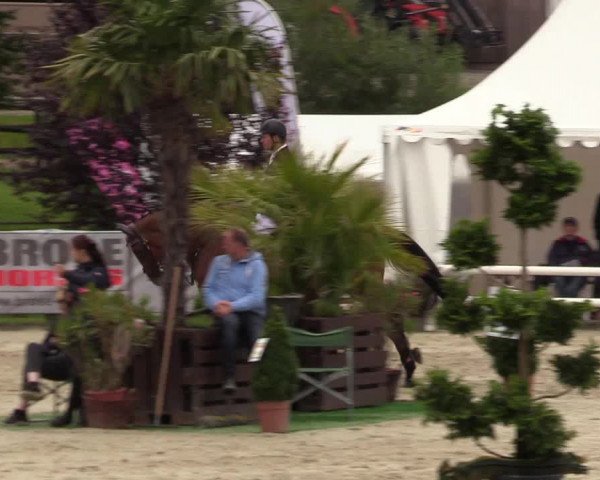 Reitturnier Schnarup-Thumby 2021