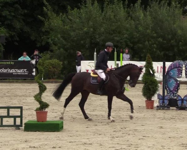 Reitturnier Schnarup-Thumby 2021
