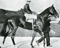 broodmare Zariba xx (Thoroughbred, 1919, from Sardanapale xx)